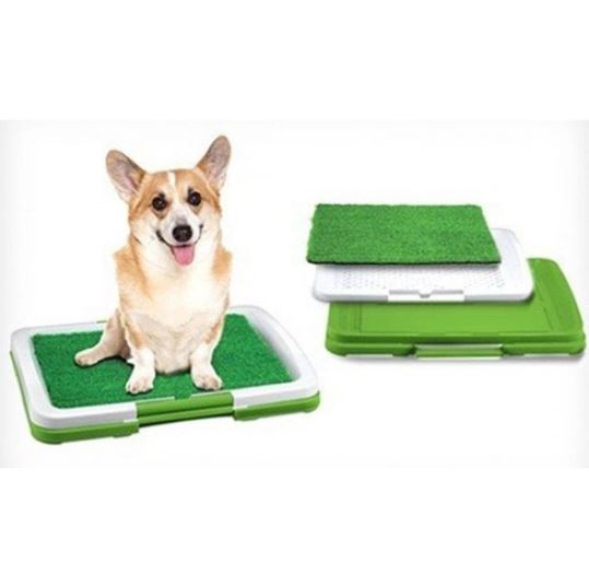 ed29983d-d7bb-11ed-acee-166b0be12ee5_5