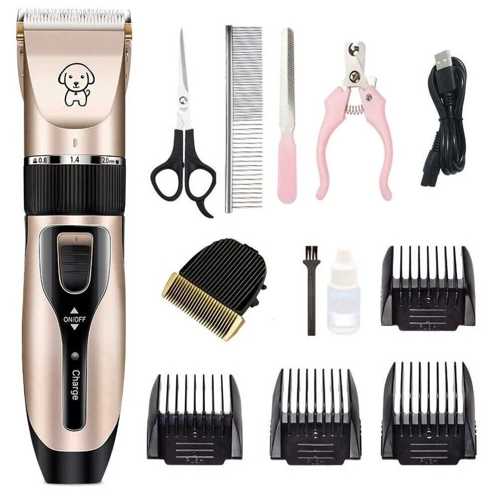 ef566a17-042f-11f0-8621-dee18ff4e8c0_2