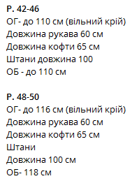 25033981-7a4e-11ee-ad32-166b0be12ee5_2