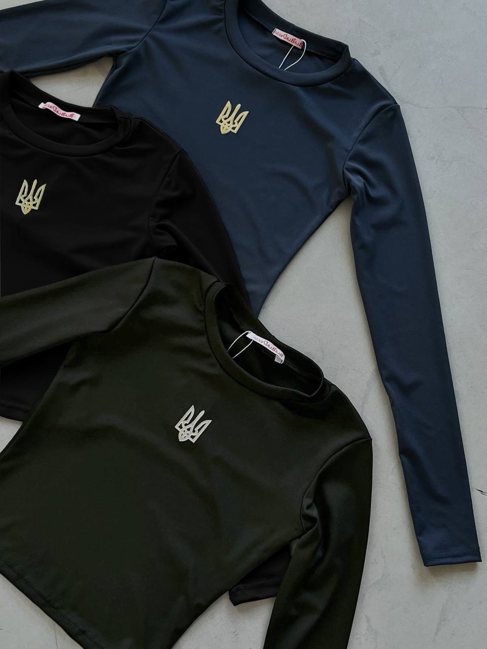 4f119387-6949-11ee-ad27-166b0be12ee5_1