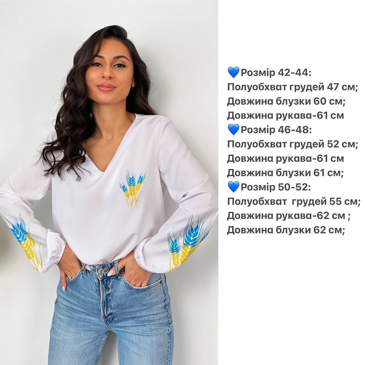 a9823667-ec74-11ef-8621-dee18ff4e8c0_1