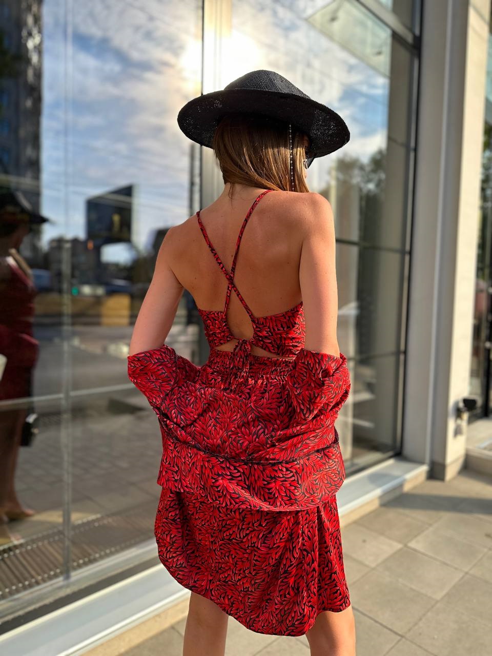 006c41fe-1846-11ee-acff-166b0be12ee5_5