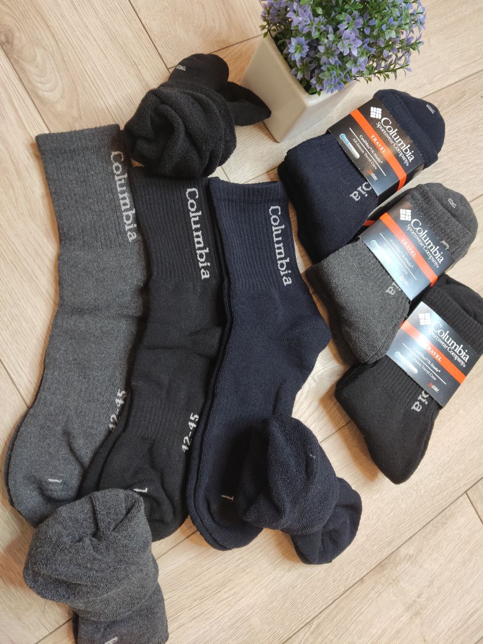 06322292-6f86-11ee-ad2a-166b0be12ee5_2