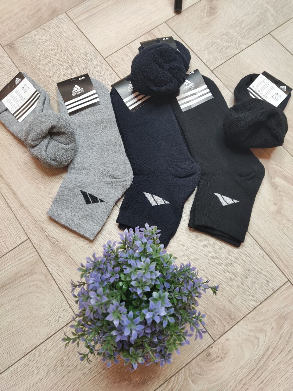 063222a9-6f86-11ee-ad2a-166b0be12ee5_2