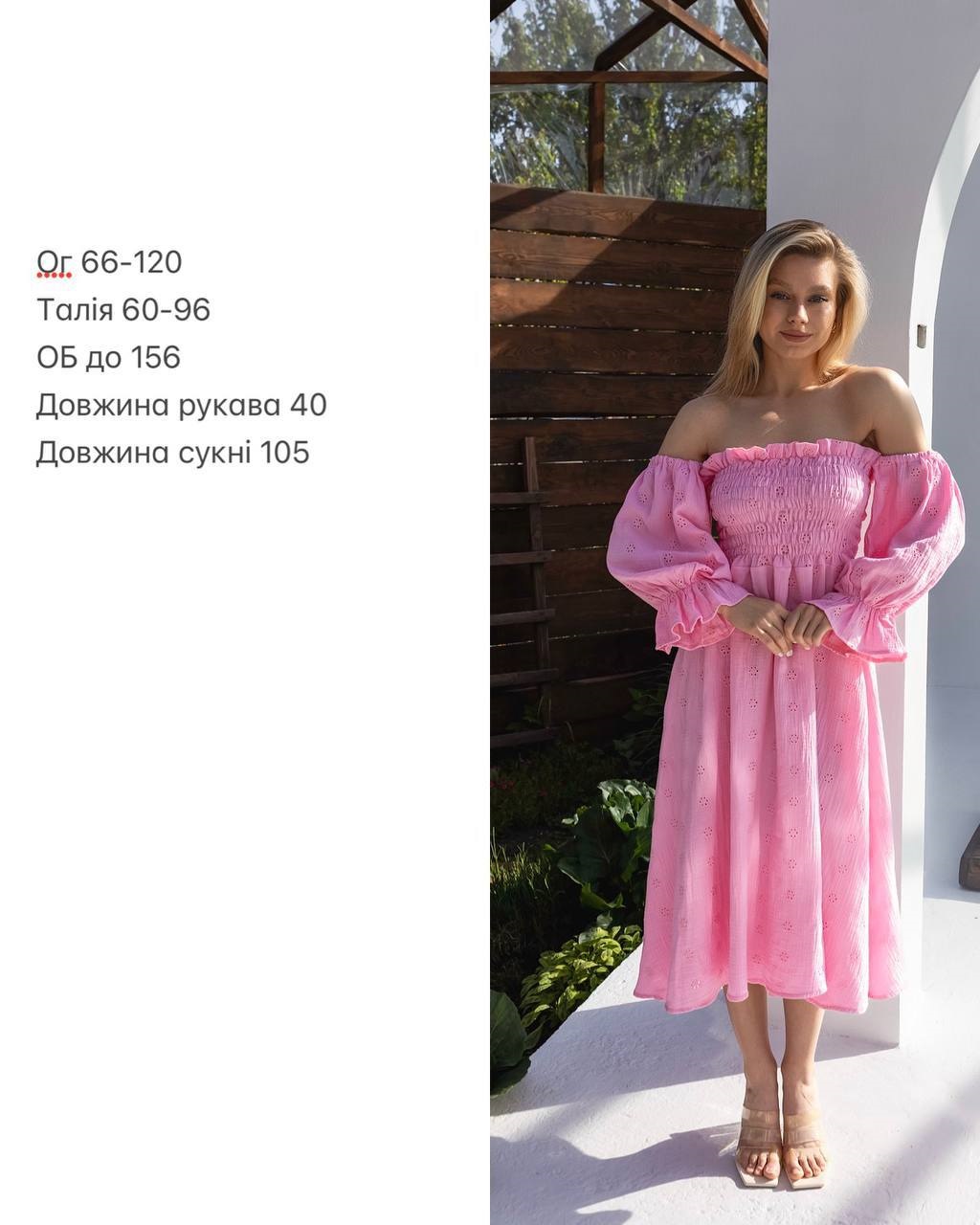 06676965-3f60-11f0-8622-dee18ff4e8c0_3