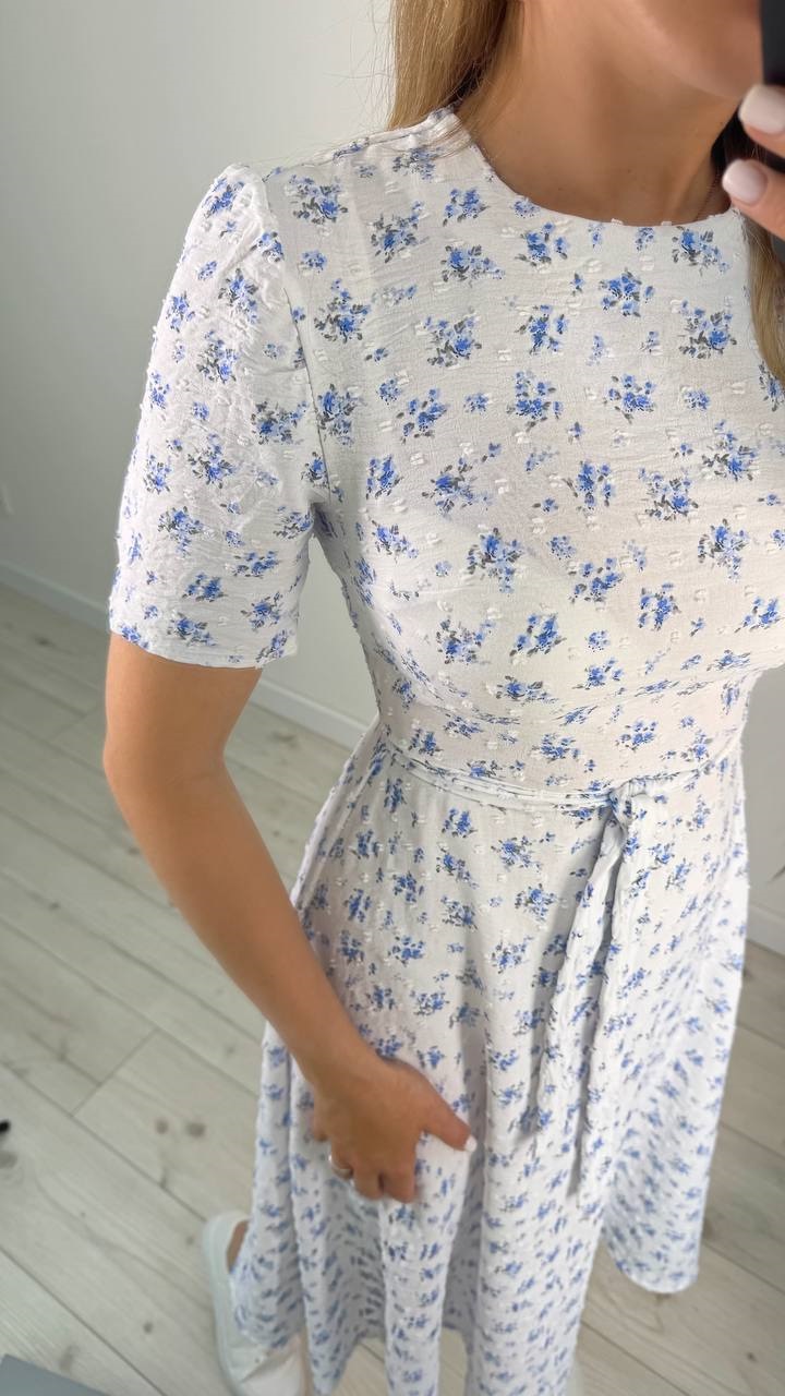 142e7f95-6987-11f0-8624-dee18ff4e8c0_3