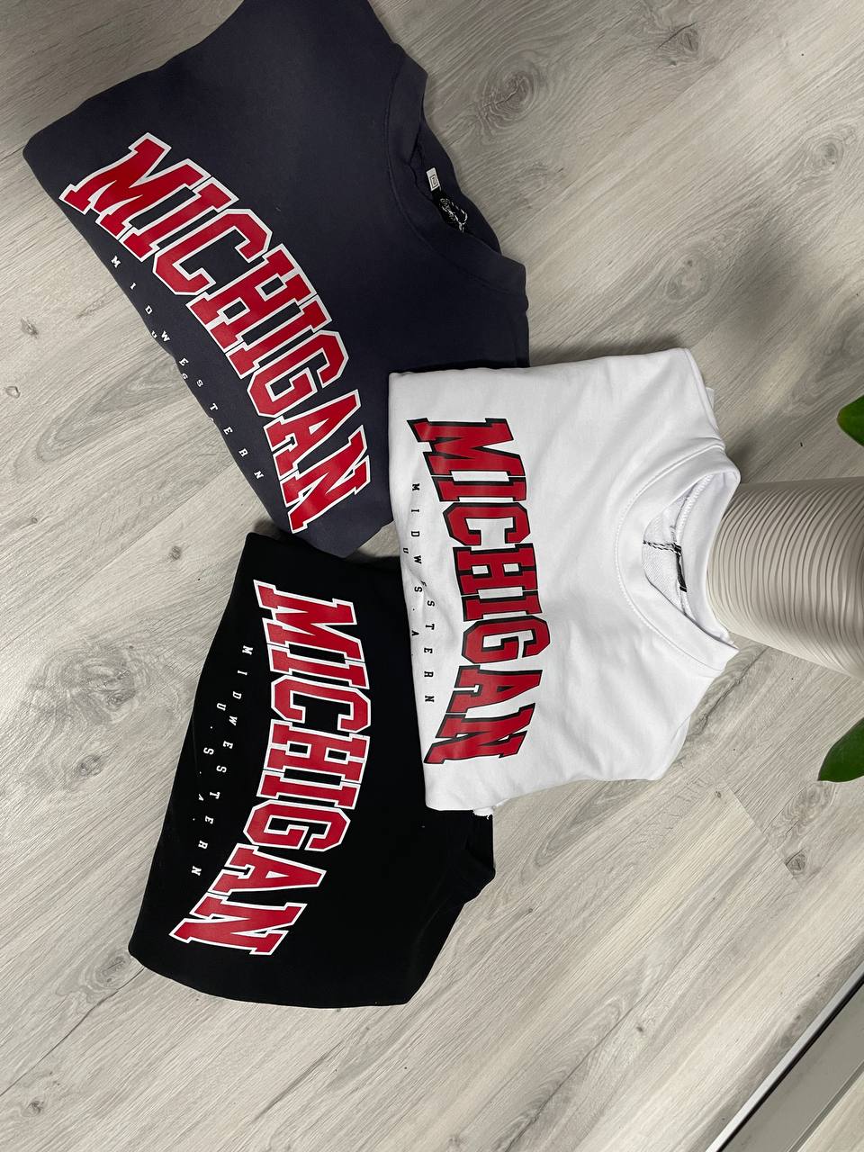 2035baa3-06a9-11ef-ad84-166b0be12ee5_1