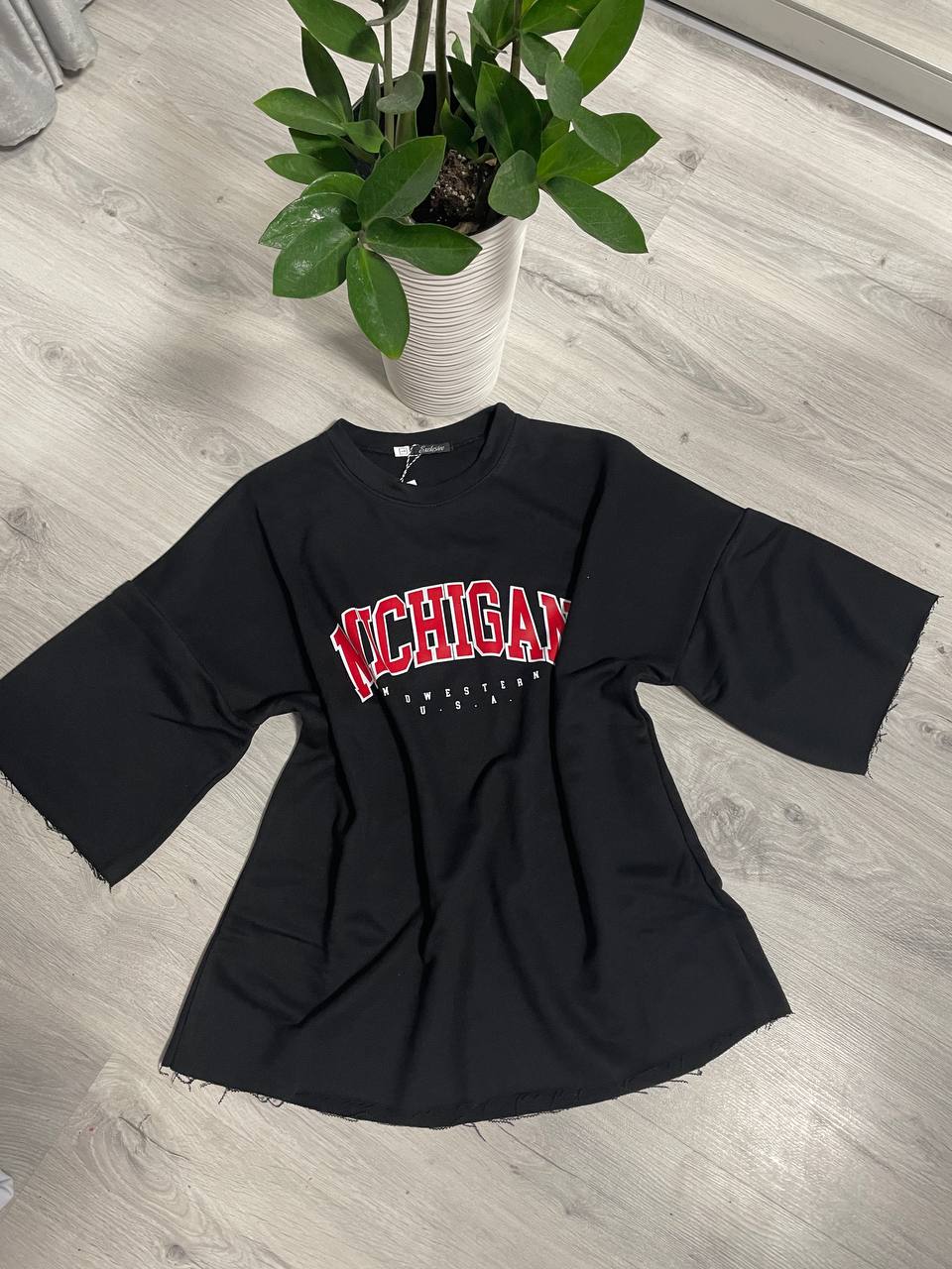 2035baac-06a9-11ef-ad84-166b0be12ee5_1