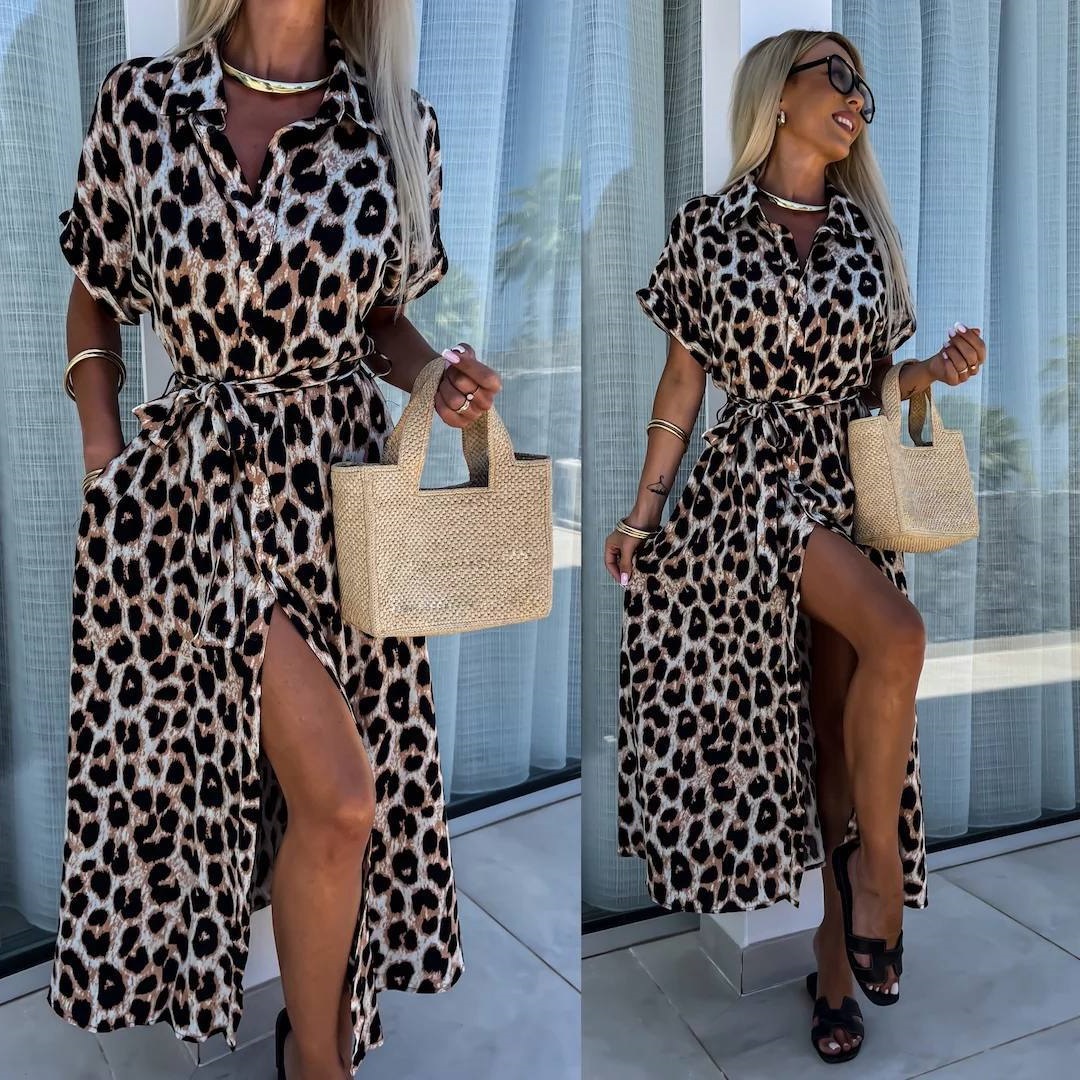 3113a665-23c0-11ef-ad92-166b0be12ee5_2