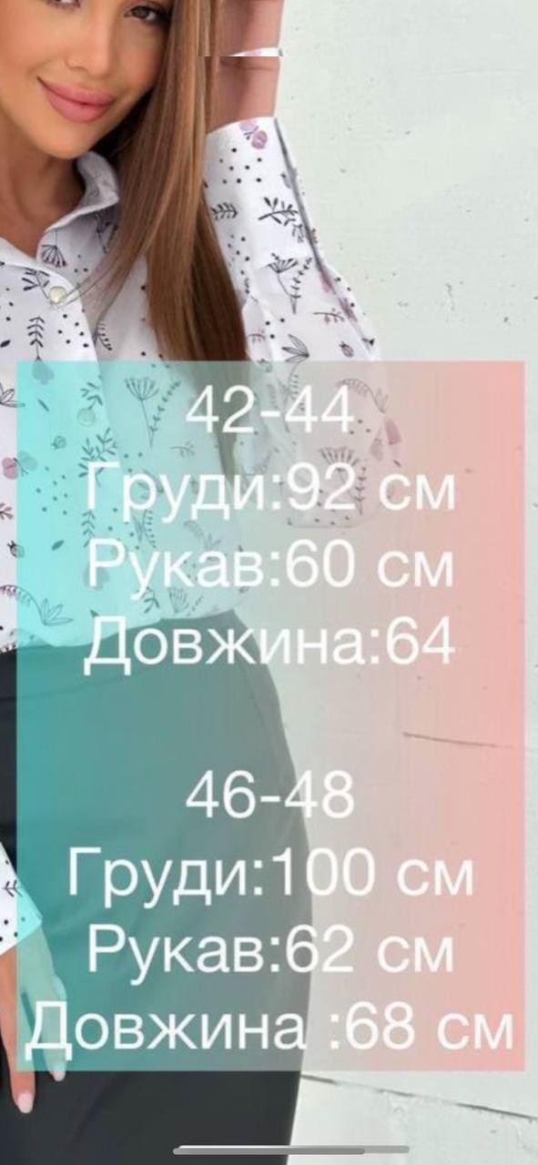 34561719-8fd7-11ef-8620-dee18ff4e8c0_2