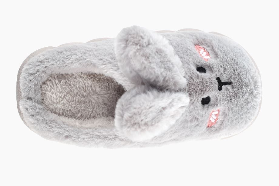 369950fd-58c0-11ee-ad1b-166b0be12ee5_2