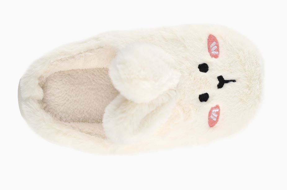 36995107-58c0-11ee-ad1b-166b0be12ee5_2