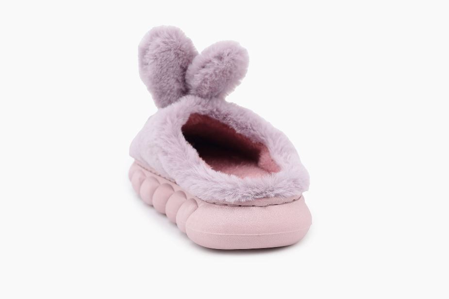 3699510d-58c0-11ee-ad1b-166b0be12ee5_1