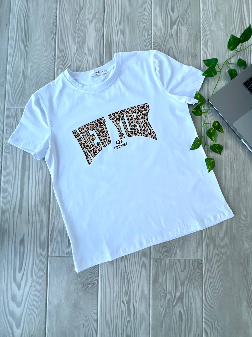 3ae3b367-0121-11f0-8621-dee18ff4e8c0_0