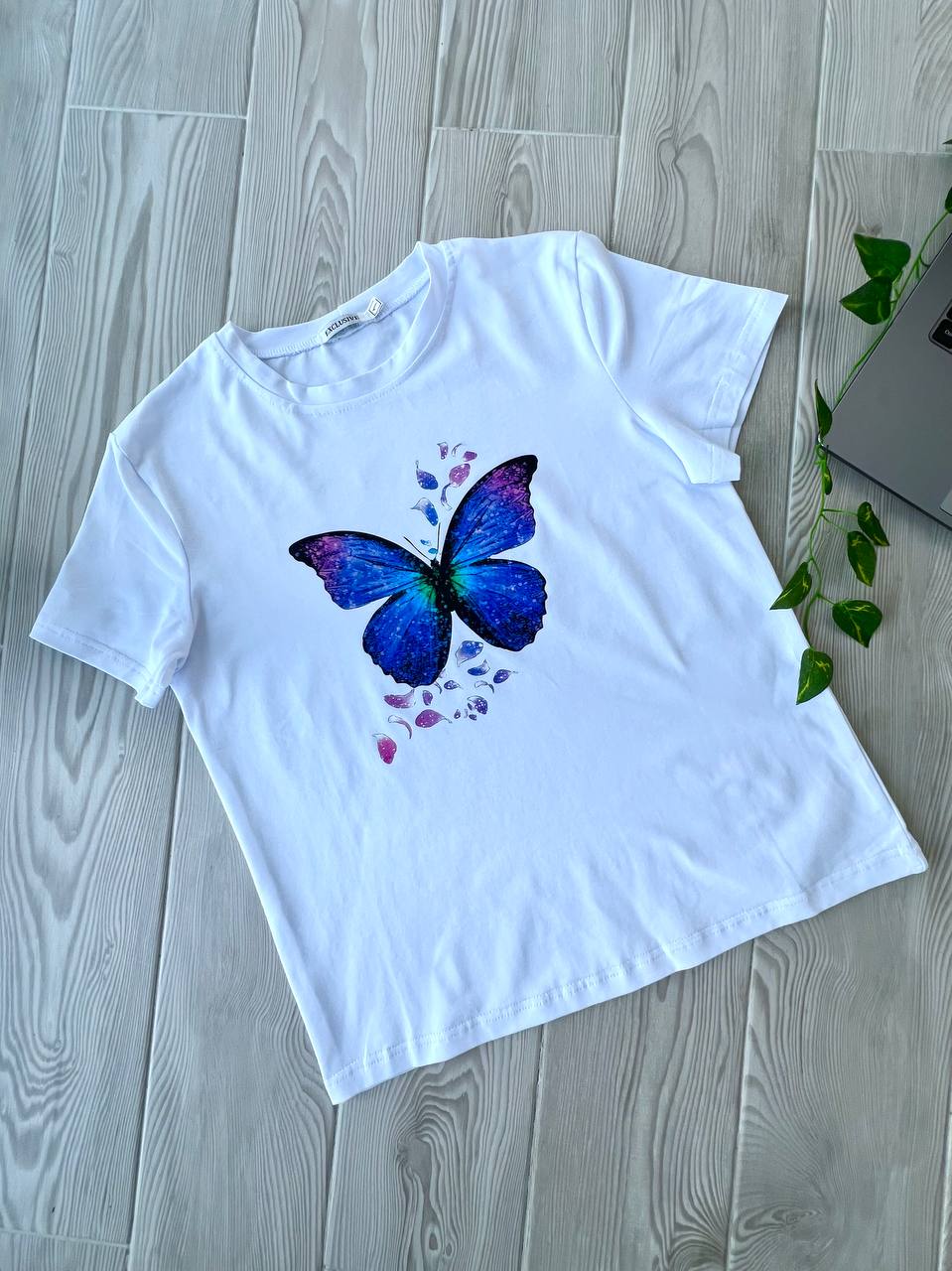 3ae3b397-0121-11f0-8621-dee18ff4e8c0_0