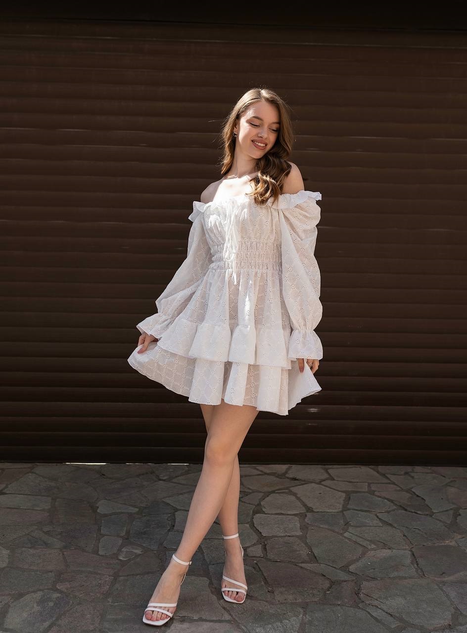 45e37092-2454-11f0-8622-dee18ff4e8c0_3