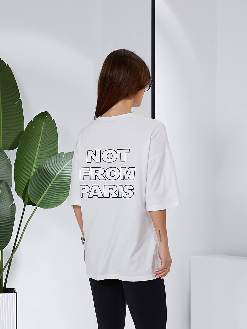 50965f1d-0efb-11ef-ad86-166b0be12ee5_2