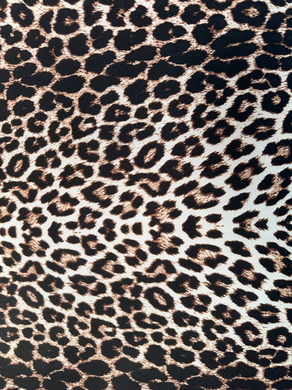 648d530f-1558-11ef-ad87-166b0be12ee5_3