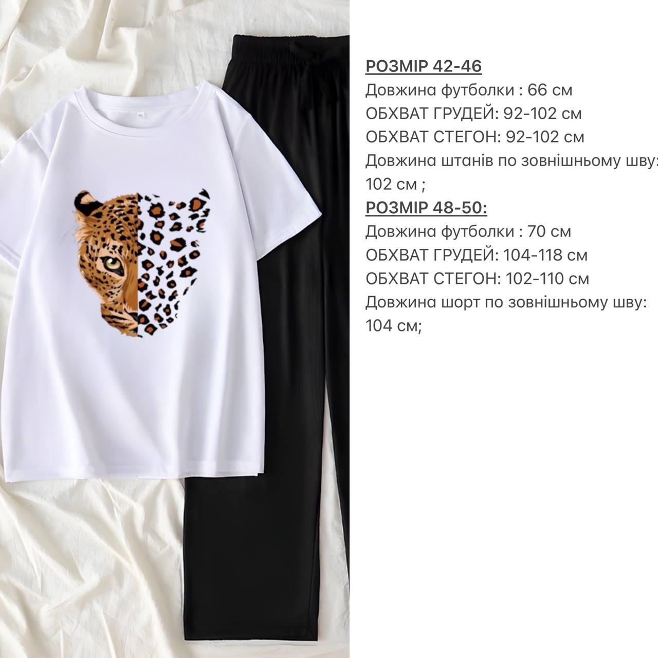 68542ef9-2b3e-11ef-ad92-166b0be12ee5_2