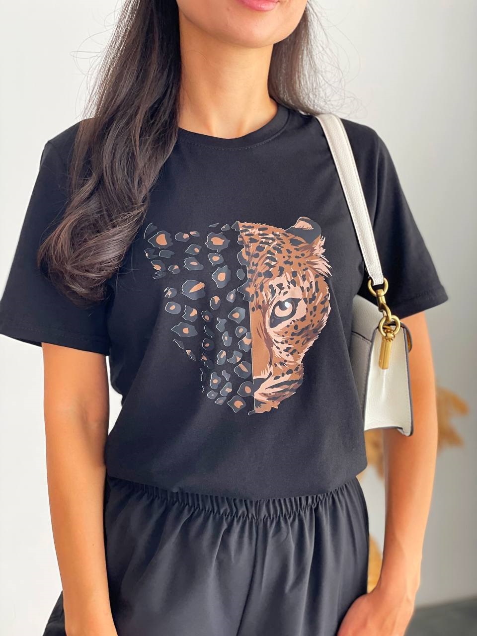 68542ef9-2b3e-11ef-ad92-166b0be12ee5_3