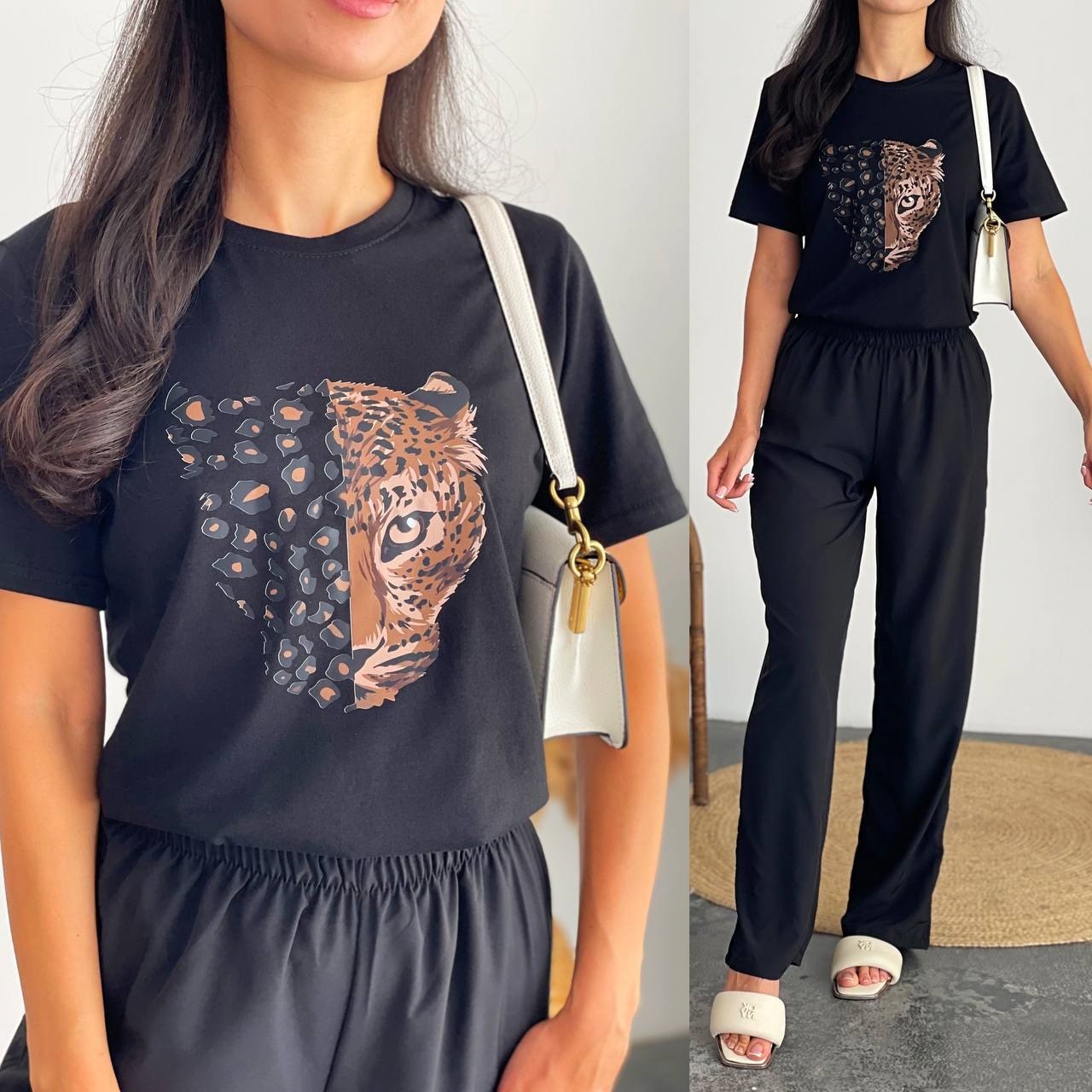 68542ef9-2b3e-11ef-ad92-166b0be12ee5_4