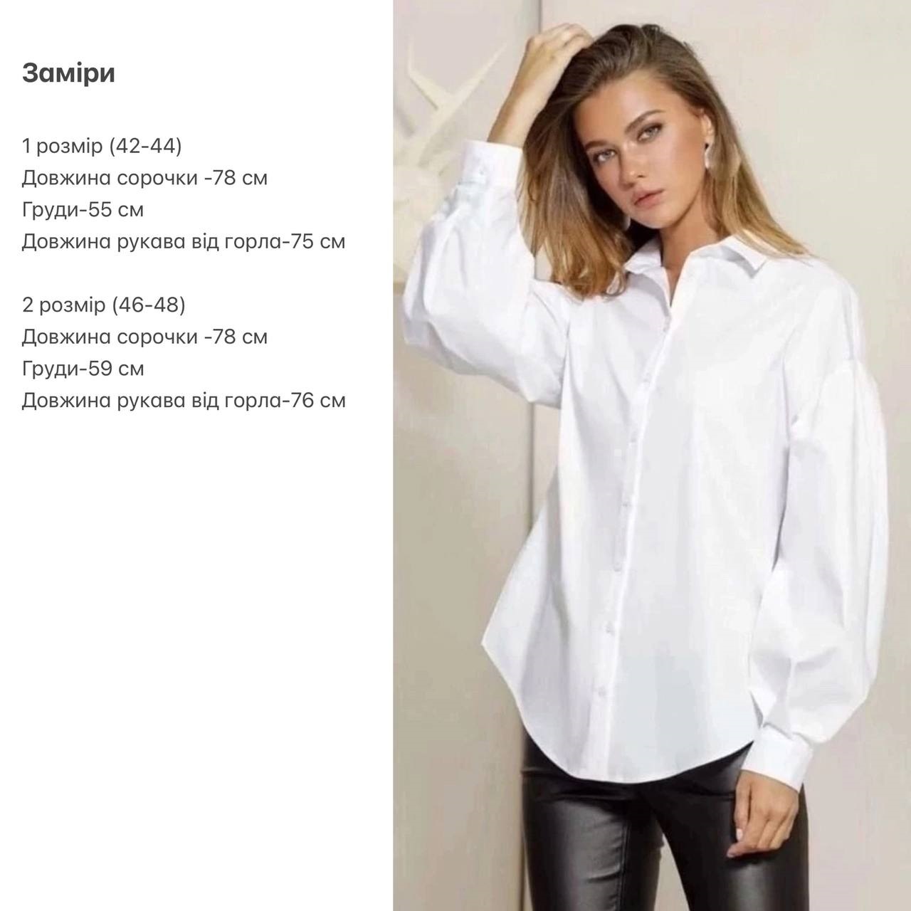 756a4125-f722-11ee-ad72-166b0be12ee5_2