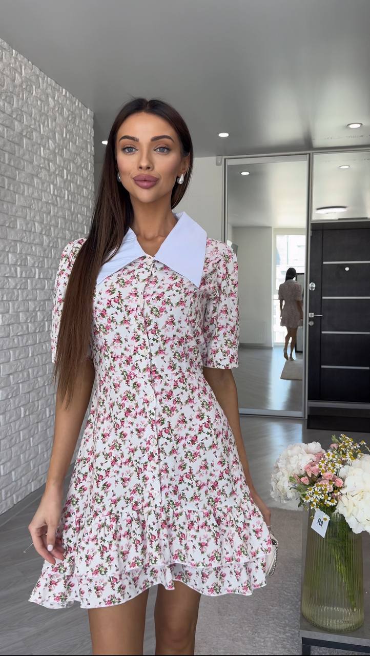 81f9bc9e-0cc4-11f0-8621-dee18ff4e8c0_1