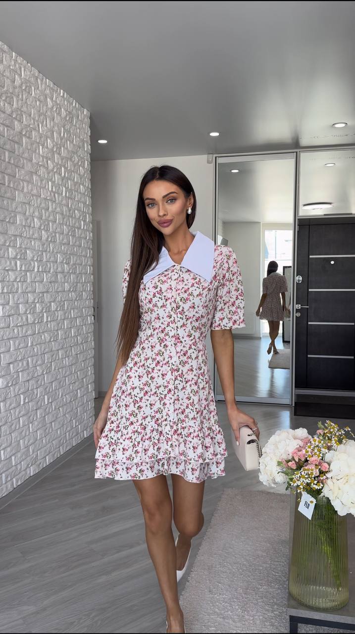 81f9bc9e-0cc4-11f0-8621-dee18ff4e8c0_2