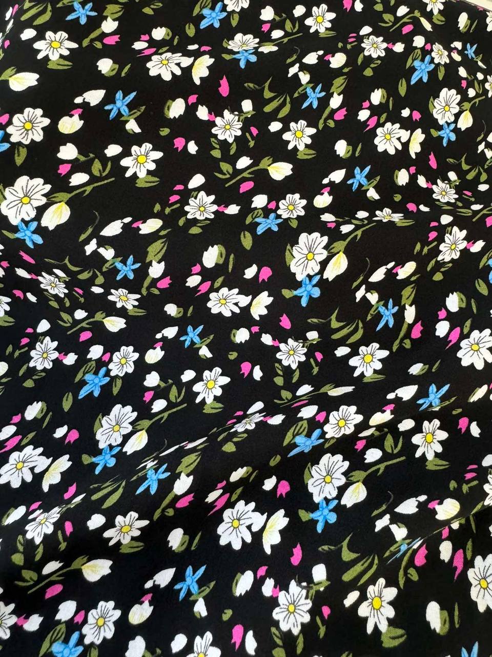 81f9bca6-0cc4-11f0-8621-dee18ff4e8c0_2