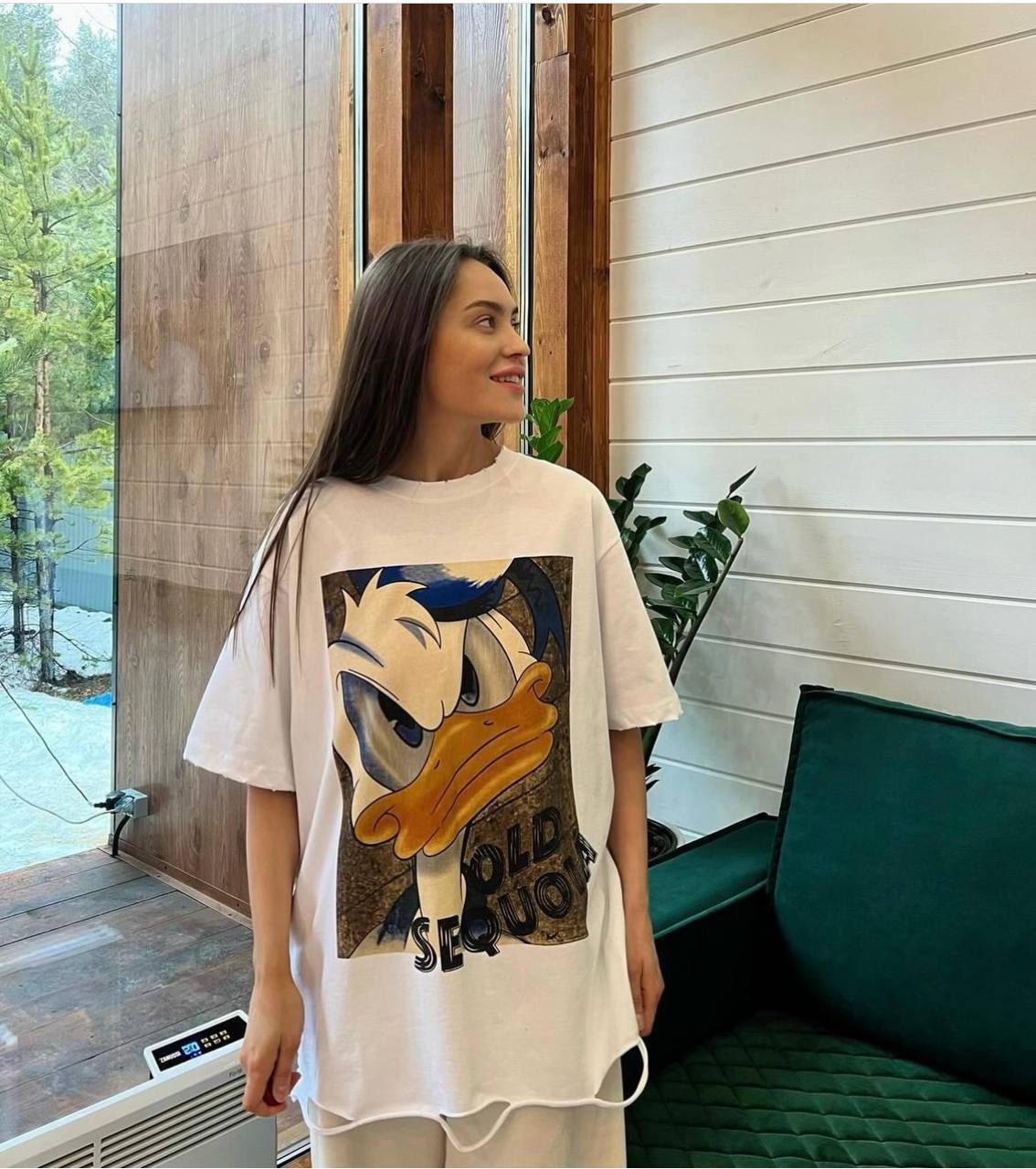 840ceb75-fb8c-11ef-8621-dee18ff4e8c0_1