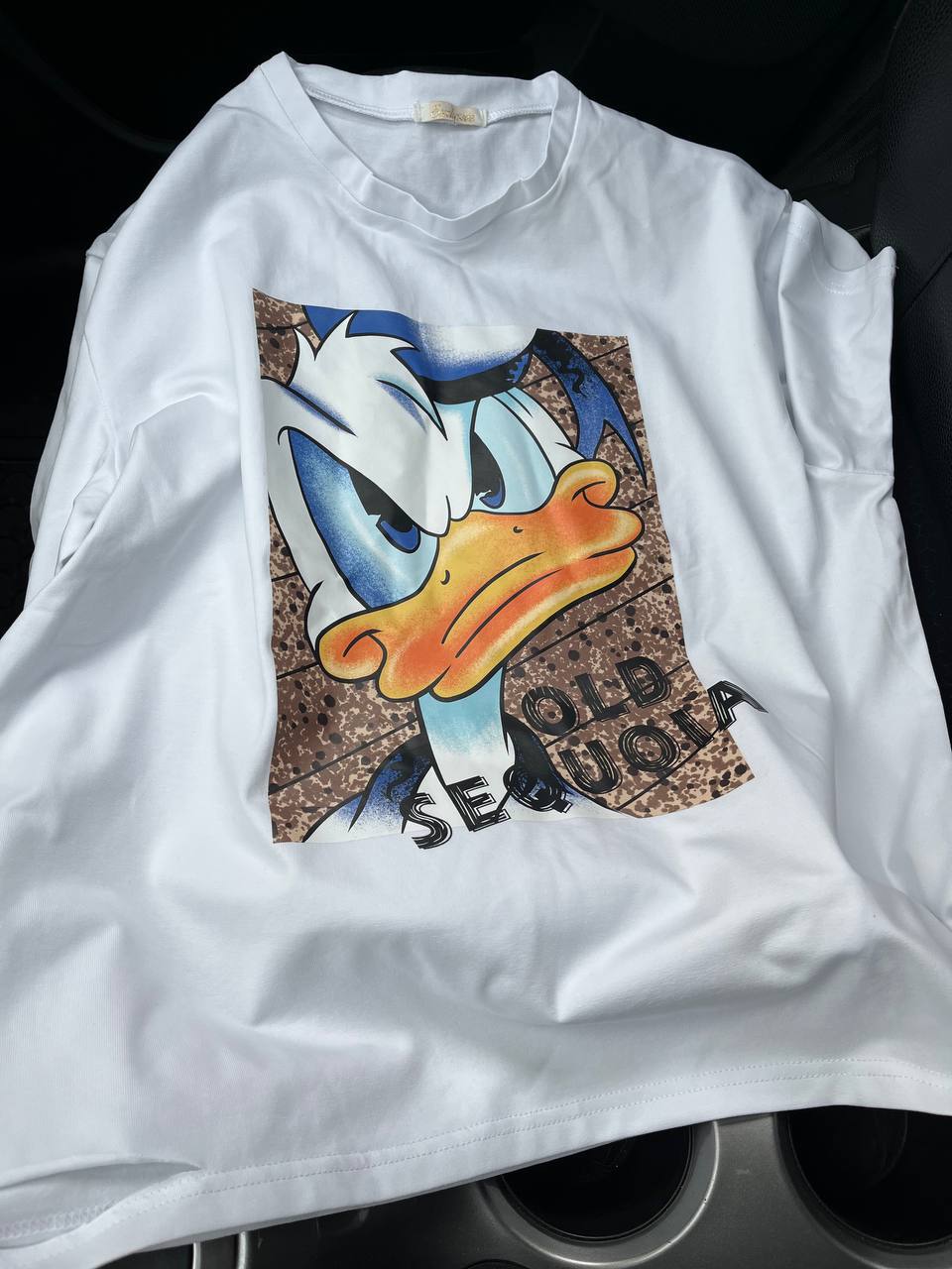 840ceb75-fb8c-11ef-8621-dee18ff4e8c0_2