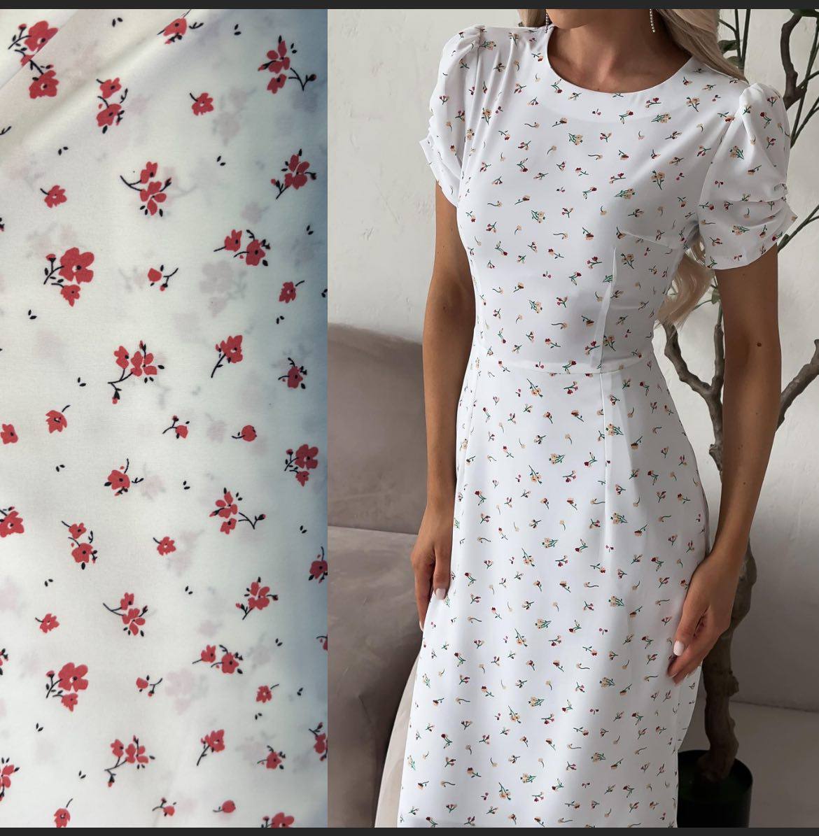 92c3c8da-0f08-11ef-ad86-166b0be12ee5_4