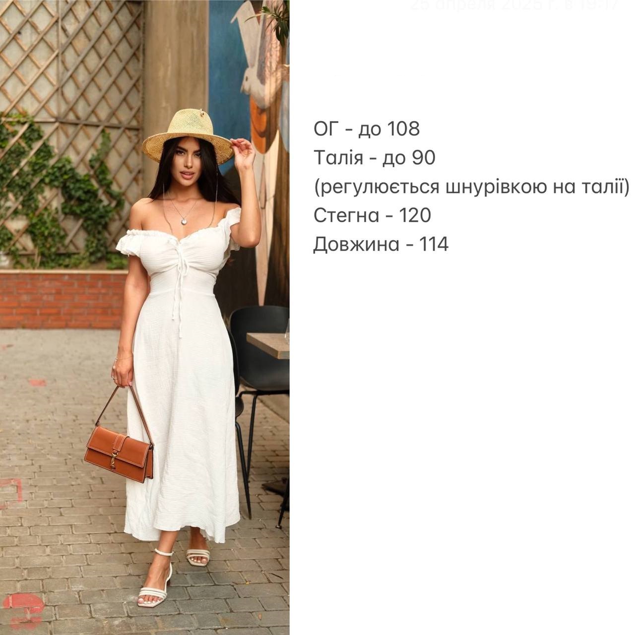 9fa54892-d990-11ee-ad52-166b0be12ee5_4