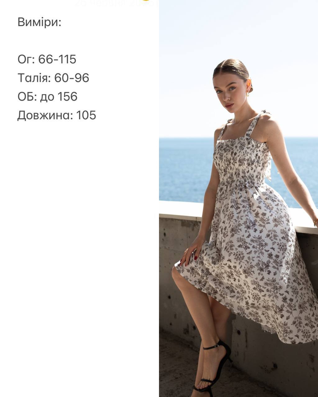 b6a20891-3ef0-11f0-8622-dee18ff4e8c0_3