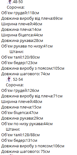 bcde2e0c-41f9-11f0-8622-dee18ff4e8c0_2