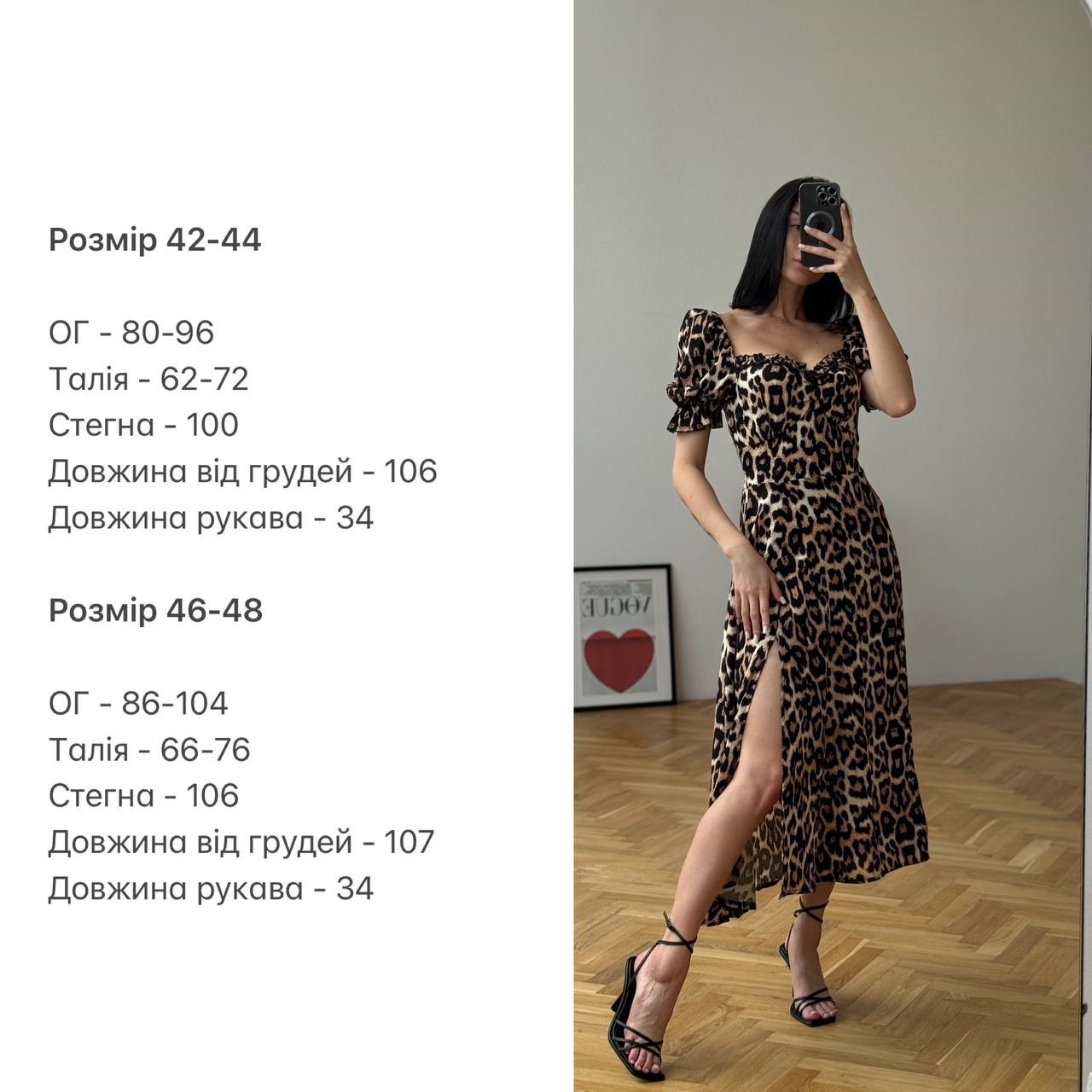 c17c432b-1bce-11f0-8621-dee18ff4e8c0_4