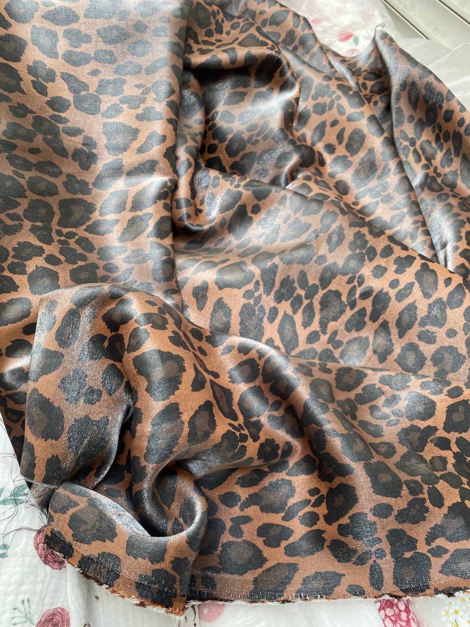 ccbce45a-d986-11ee-ad52-166b0be12ee5_2