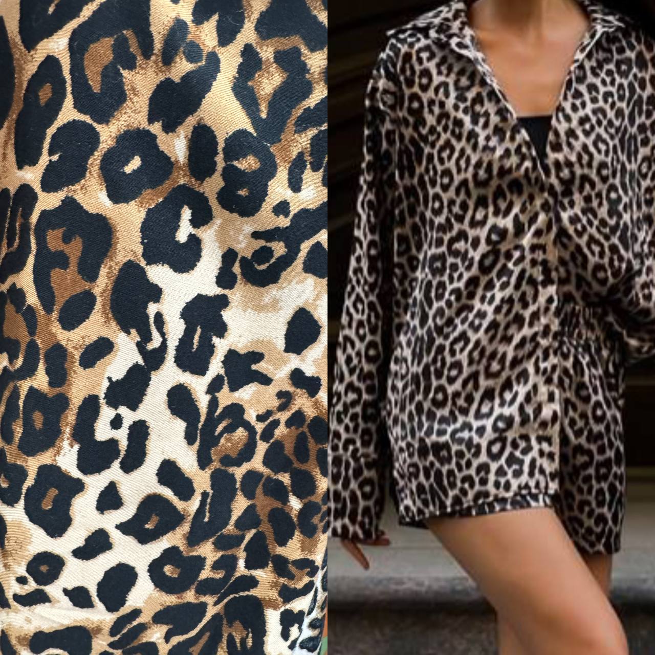 dcd3532f-2900-11ef-ad92-166b0be12ee5_2