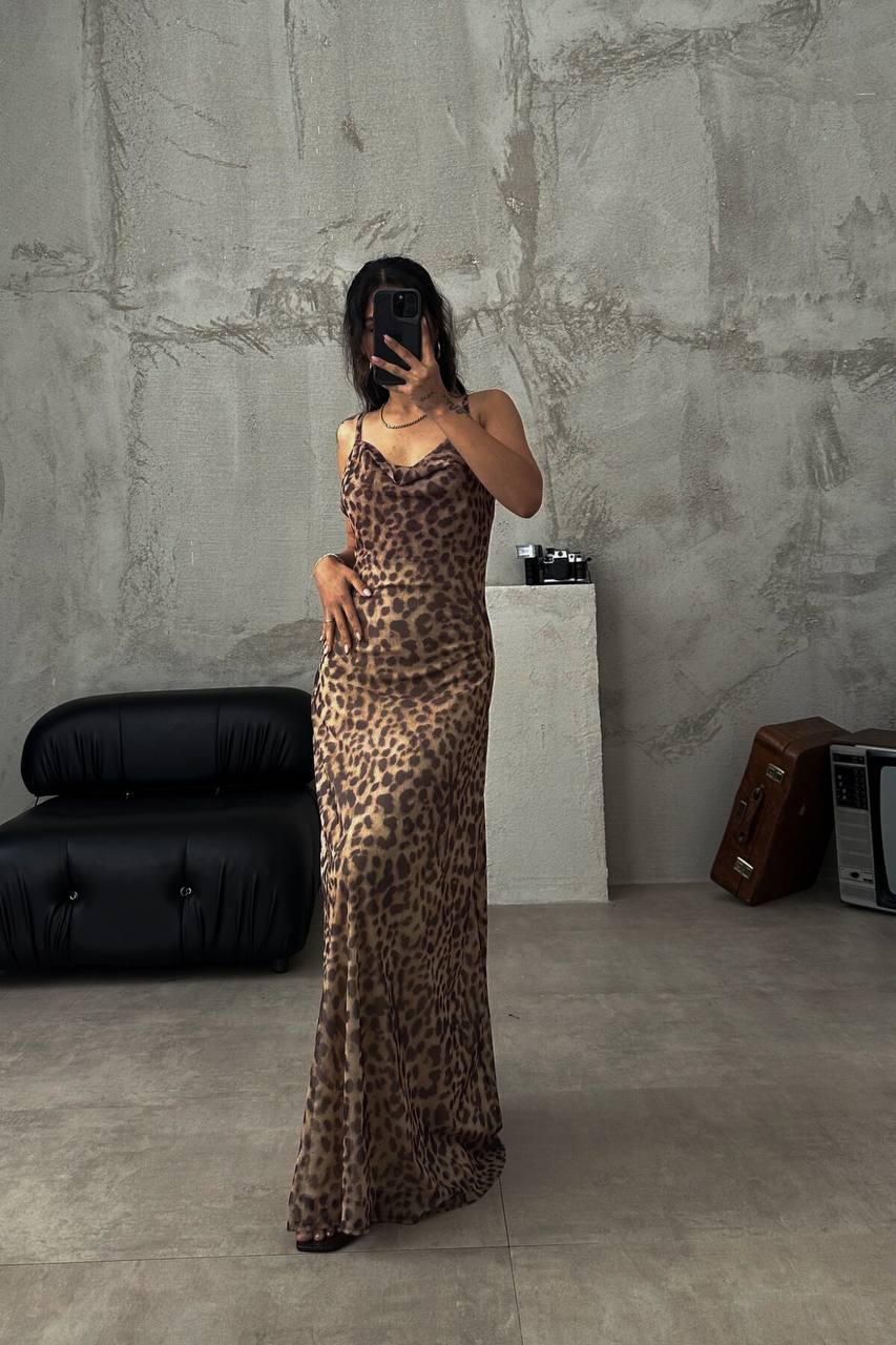 e2c303c9-2a80-11ef-ad92-166b0be12ee5_0