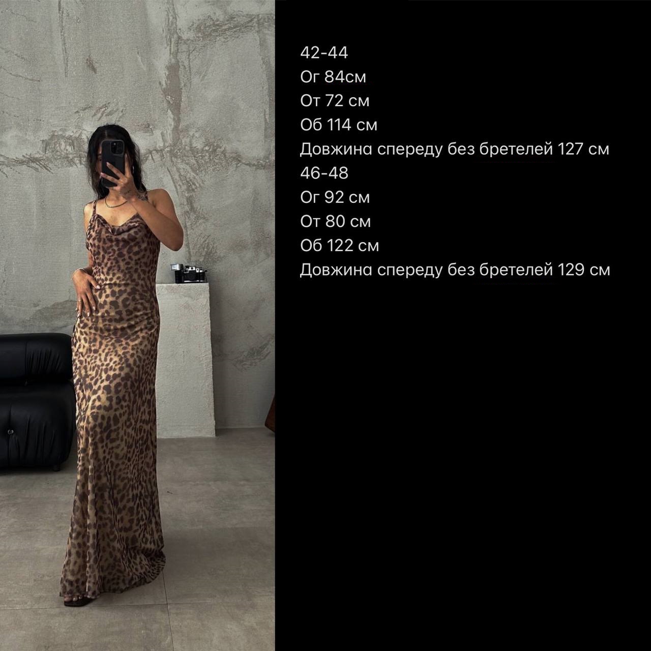 e2c303c9-2a80-11ef-ad92-166b0be12ee5_2