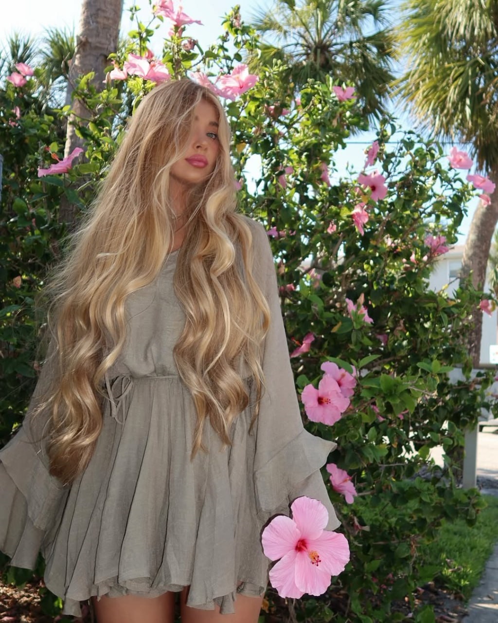 e8d12920-5456-11f0-8622-dee18ff4e8c0_1