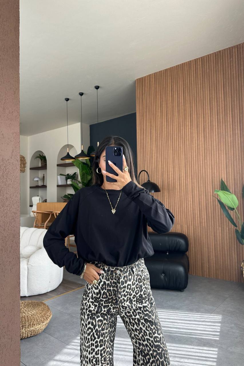 ef360240-6d59-11ef-861f-dee18ff4e8c0_2