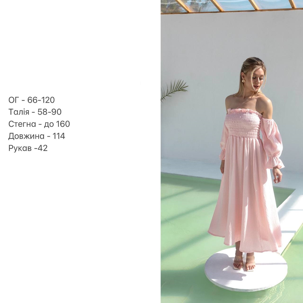 fe717808-3f5c-11f0-8622-dee18ff4e8c0_3