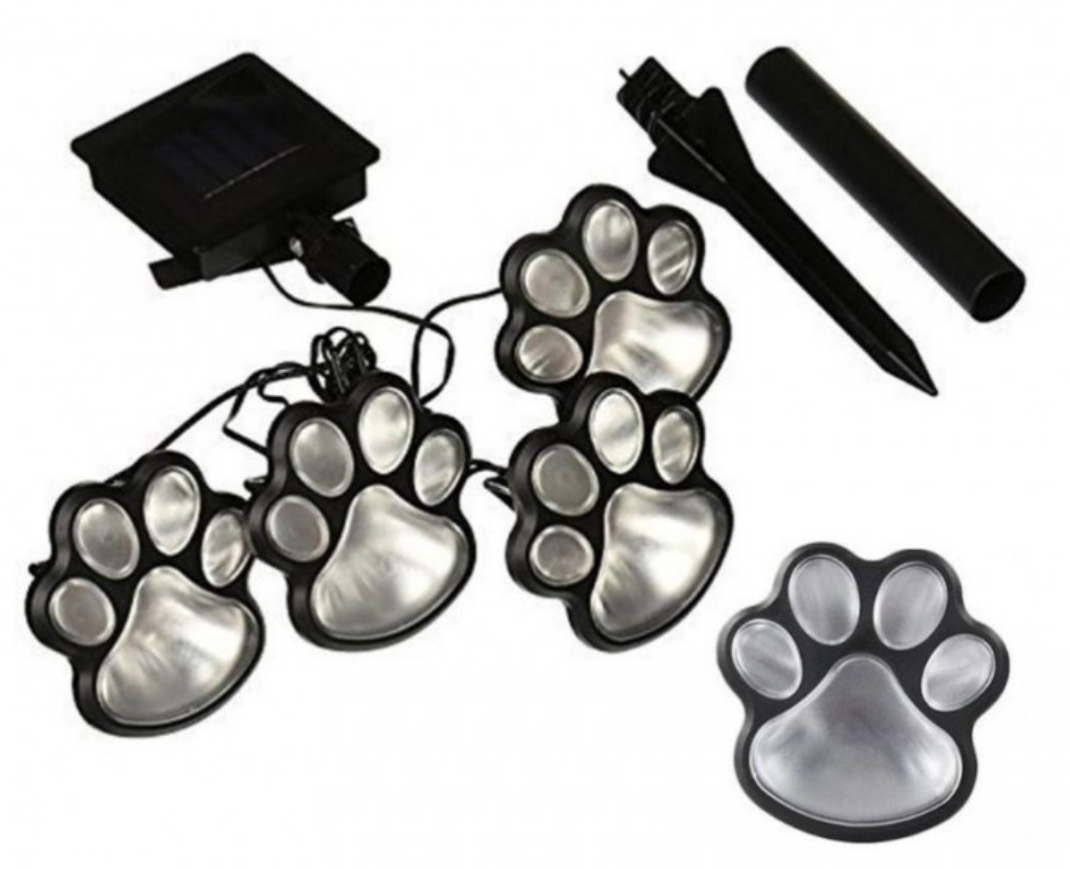 02912417-1789-11f0-8621-dee18ff4e8c0_1