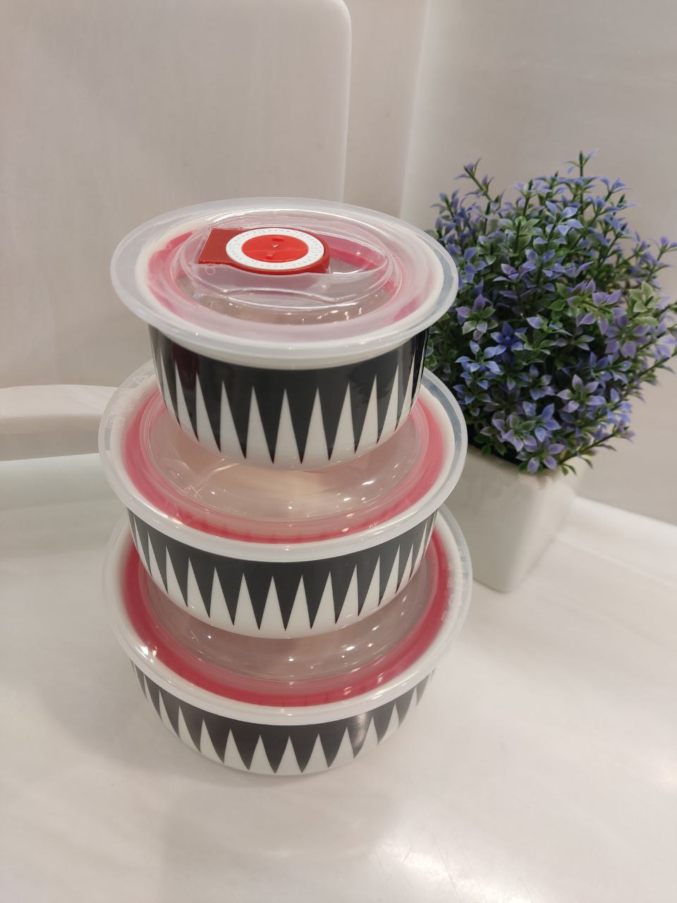 03a35565-3c04-11ee-ad0b-166b0be12ee5_2