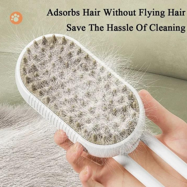 08ece6ab-b93b-11ef-8621-dee18ff4e8c0_1