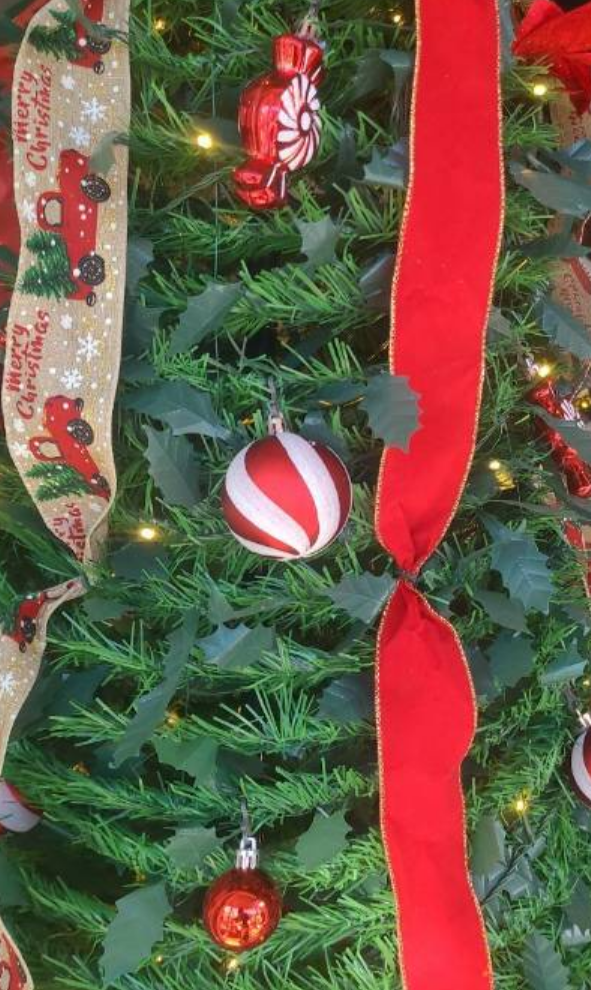 13df1e8f-bca0-11f0-8624-dee18ff4e8c0_2