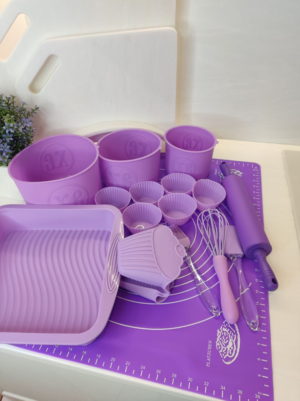 21034094-2afd-11ef-ad92-166b0be12ee5_2