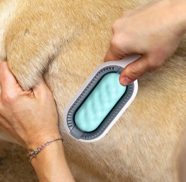 217400a0-a1c1-11ef-8620-dee18ff4e8c0_1