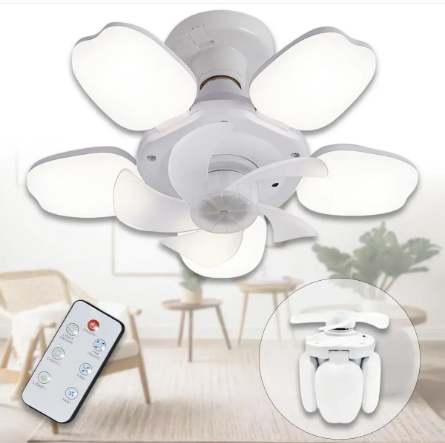 22280406-0083-11f0-8621-dee18ff4e8c0_1